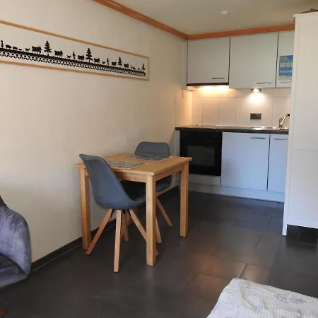 Апартаменты Alpenchalet Weidhaus Studio Nr- 3