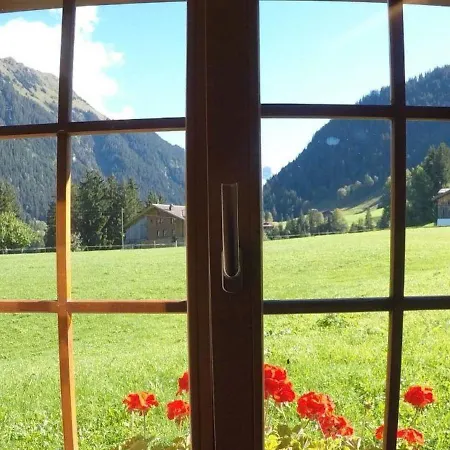Апартаменты Alpenchalet Weidhaus Studio Nr- 3